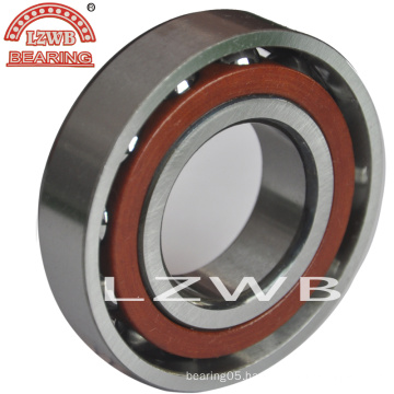 ISO High Precision Angular Contact Ball Bearing (7316C-7324C)